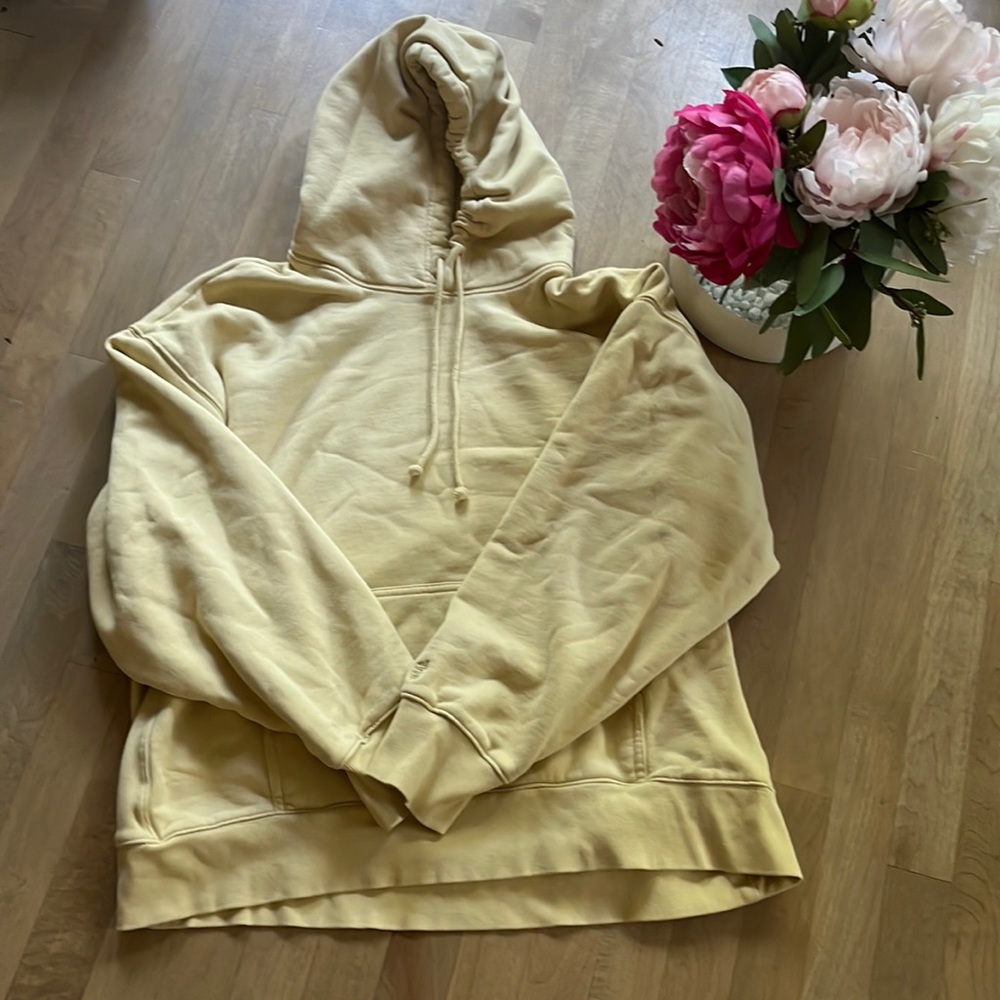 Aritzia TNA Boyfriend Hoodie